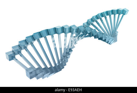 Vetro modello di DNA su sfondo bianco. Foto Stock