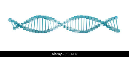 Vetro modello di DNA su sfondo bianco. Foto Stock