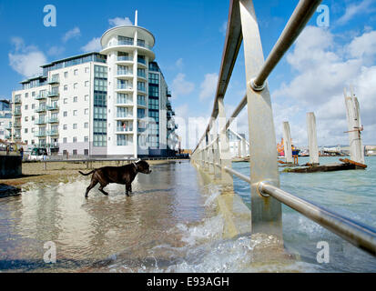 Inondazioni costiere a West Quay, Newhaven, East Sussex, Inghilterra Foto Stock