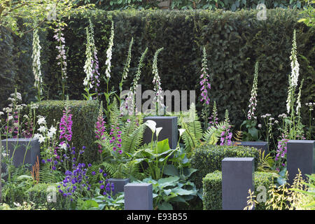 RHS Chelsea Flower Show 2014. foxgloves crescente nella speranza sull'orizzonte' Garden designer Matt Keightley, sponsor 'David Brow Foto Stock