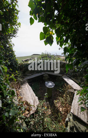 Paese sgangherato giardino a Peter Webber's capanna a Oriente Prawle, Devon Foto Stock