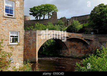 3221. Barnard Castle & Fiume Tees, Barnard Castle, Durham, Regno Unito Foto Stock