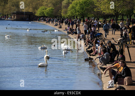 Tempo caldo fa risaltare i londinesi e turisti a crogiolarvi al sole con vista: dove: Londra, Regno Unito quando: 15 Apr 2014 Foto Stock