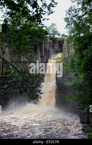 3225. Forza elevata in cascata, Fiume Tees, Teesdale, Durham, Regno Unito Foto Stock