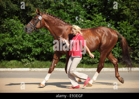Colpo di una giovane e bella donna che conduce al suo cavallo Foto Stock