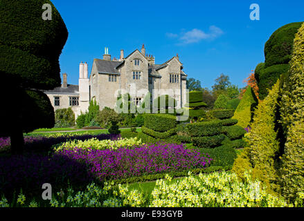 Topiaria da a Levens Hall, Cumbria, England Regno Unito Foto Stock