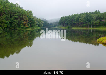 Natura paesaggio all'alba di laghi e foreste di pini in Pang Ung parco nazionale di Mae Hong Son provincia, Thailandia Foto Stock