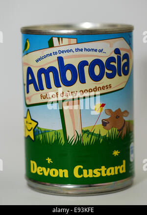 Ambrosia Devon crema pasticcera. Foto Stock