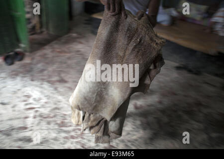 Dacca in Bangladesh. Xviii oct, 2014. I lavoratori che trasportano per elaborare le pelli degli animali macellati durante l'Eid Al Adha, presso una fabbrica di cuoio in Hazaribagh, Dhaka.La pelle del Bangladesh industria ha guadagnato 980.67 milioni di euro US dollar dalle esportazioni di cuoio e prodotti in cuoio in materia fiscale 20/12/2013, secondo il Bangladesh's Export Promotion Bureau © Zakir Hossain Chowdhury/ZUMA filo/Alamy Live News Foto Stock