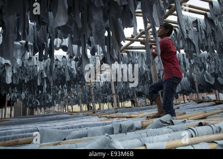 Dacca in Bangladesh. Xviii oct, 2014. I lavoratori di essiccamento della pelle animale dopo il processo che macellati durante l'Eid Al Adha, presso una fabbrica di cuoio in Hazaribagh, Dhaka.La pelle del Bangladesh industria ha guadagnato 980.67 milioni di euro US dollar dalle esportazioni di cuoio e prodotti in cuoio in materia fiscale 20/12/2013, secondo il Bangladesh's Export Promotion Bureau © Zakir Hossain Chowdhury/ZUMA filo/Alamy Live News Foto Stock