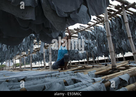 Dacca in Bangladesh. Xviii oct, 2014. I lavoratori di essiccamento della pelle animale dopo il processo che macellati durante l'Eid Al Adha, presso una fabbrica di cuoio in Hazaribagh, Dhaka.La pelle del Bangladesh industria ha guadagnato 980.67 milioni di euro US dollar dalle esportazioni di cuoio e prodotti in cuoio in materia fiscale 20/12/2013, secondo il Bangladesh's Export Promotion Bureau © Zakir Hossain Chowdhury/ZUMA filo/Alamy Live News Foto Stock