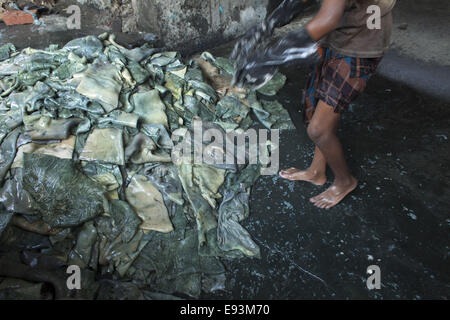 Dacca in Bangladesh. Xviii oct, 2014. Un bambino nome Bahadur età di 11che lavora in una fabbrica di conceria in Hazaribagh. Dhaka's area Hazaribagh, ampiamente conosciuto per la sua industria di conceria, è stato elencato come uno dei dieci migliori luoghi inquinati sulla terra con 270 concerie registrati in Bangladesh e intorno al 90-95 percento sono situati in corrispondenza di Hazaribagh impiegando 8.000 a 12.000 persone. La produzione di cuoio include molte operazioni con diverse esposizioni, che possono essere dannose per la salute dei lavoratori e in particolare essere cancerogeno © Zakir Hossain Chowdhury/ZUMA filo/Alamy Live News Foto Stock