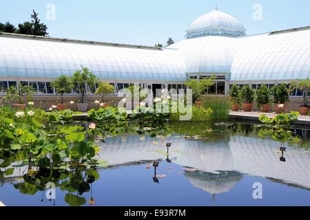 New York Giardino Botanico serra, Bronx, Stati Uniti d'America Foto Stock