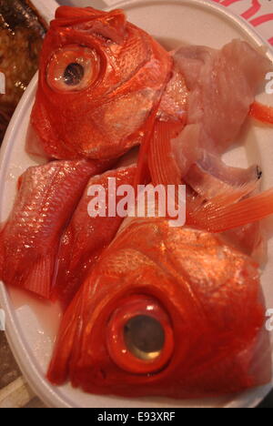 Pesce nel mercato del pesce Tsukiji a Tokyo Giappone Foto Stock