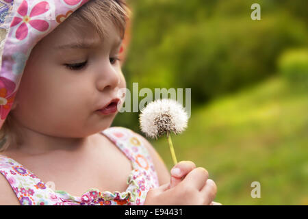 Piccola ragazza carina che soffia su un dente di leone nel campo Foto Stock