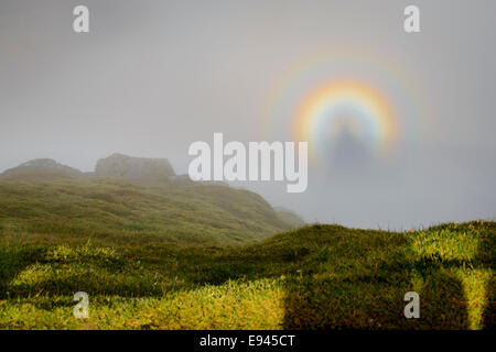 Un Brocken Spectre, visto dalla vetta del Loch Lomond. Foto Stock