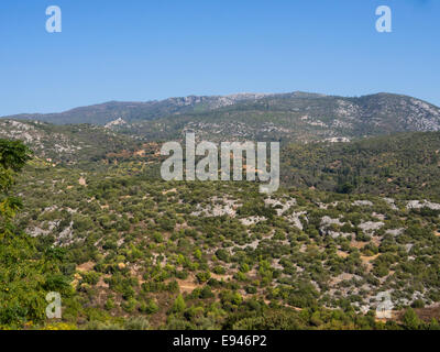 Samos in Grecia è soprannominata la verde isola , e il paesaggio è lussureggiante anche in autunno, dovuta a sorgenti sotterranee Foto Stock