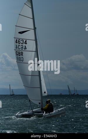 Barca a vela Catamarani dart 18 europei 2014 Mumbles Swansea foto da Phil holden Foto Stock