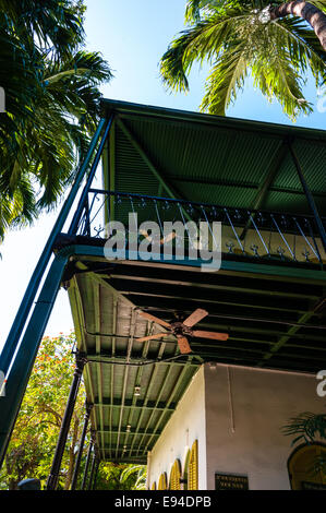 Noi, Florida, Key West. Ernest Hemingway Home. Foto Stock