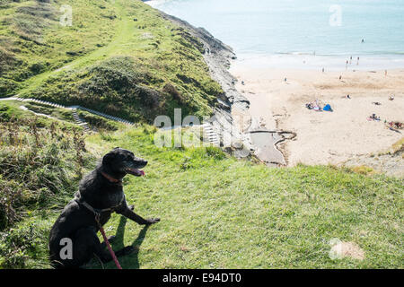 No cani,incluso il mio cane lurcher Ben, ammessi sulla spiaggia Mwnt in estate. Mwnt,Ceredigion,West Wales Foto Stock