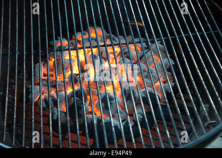 Carbone caldo su un barbecue Foto Stock