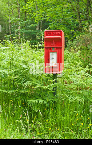 Tradizionale in rosso casella di posta su un palo circondato da alte felci ed erba nel bosco campagna vicino Plockton, West Highlands REGNO UNITO Foto Stock