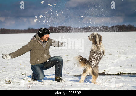 Un uomo e il suo cane sono giocare nella neve in un campo vicino a Wustermark, Havelland, Brandeburgo, Germania Foto Stock