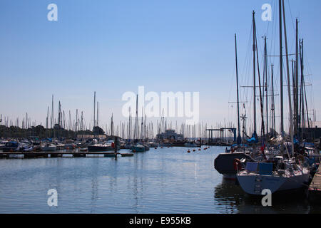 Una "foresta" di yacht a montanti stagliano contro un cielo blu, Lymington, Hampshire, Inghilterra, Regno Unito. Foto Stock