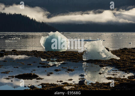 Formazioni di ghiaccio, College Fjord, Prince William Sound, Alaska Foto Stock