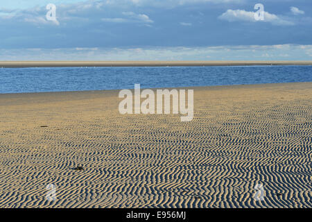 I modelli di ondulazione nella parte anteriore di un torrente di marea sulla spiaggia occidentale di spiekeroog, Frisia orientale, Bassa Sassonia, Germania Foto Stock