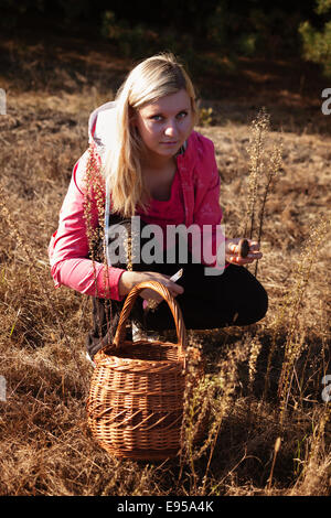 Giovane biondo capelli lunghi donna tenere il coltello e il prelievo di funghi freschi nel cesto in legno sulla foresta Foto Stock