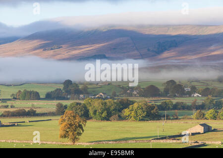 Alba sul Wensleydale, Yorkshire Dales National Park, North Yorkshire, Inghilterra, Regno Unito Foto Stock