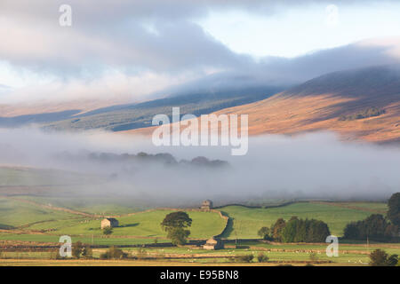 Alba sul Wensleydale, Yorkshire Dales National Park, North Yorkshire, Inghilterra, Regno Unito Foto Stock