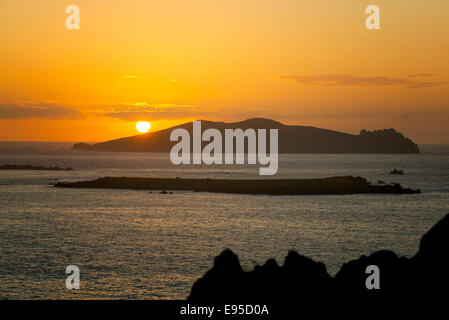 Inishtooskert nelle isole Blasket,Dingle Foto Stock