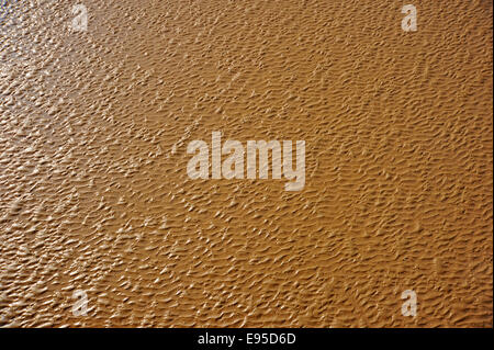 Sabbia bagnata increspature sulla spiaggia di Cleethorpes Foto Stock