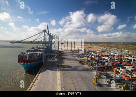 Contenitore grande nave,Edith Maersk,essendo caricati al DP London Gateway porta sull'estuario del Tamigi Foto Stock