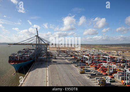 Contenitore grande nave,Edith Maersk,essendo caricati al DP London Gateway porta sull'estuario del Tamigi Foto Stock