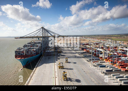 Contenitore grande nave,Edith Maersk,essendo caricati al DP London Gateway porta sull'estuario del Tamigi Foto Stock