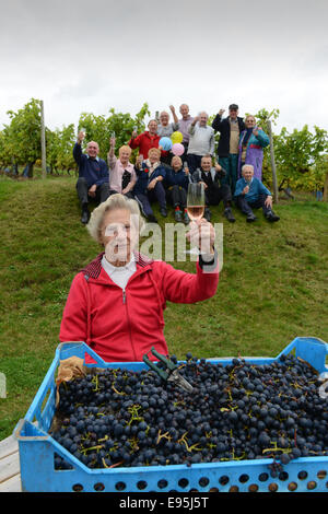 Vintage raccoglitrice di uva Ann Hawkins festeggia il suo compleanno 94th con altri volontari a Halfpenny verde vigneto nella regione delle West Midlands. Ann un ex insegnante Pattingham vivente sta aiutando con la vendemmia per oltre 20 Foto Stock