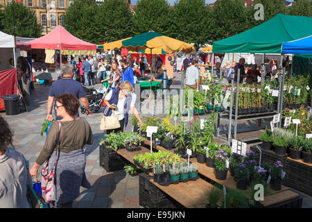 Impianto bancarelle in un affollato mercato di Salisbury in piazza del mercato in una giornata di sole Foto Stock