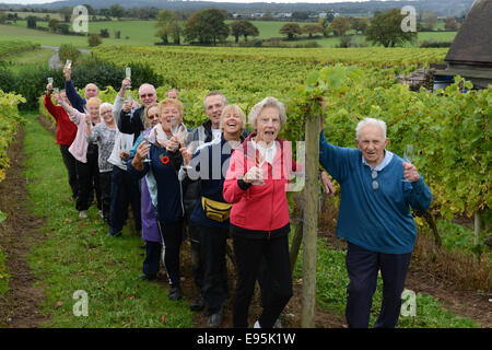 Vintage raccoglitrice di uva Ann Hawkins festeggia il suo compleanno 94th con altri volontari a Halfpenny verde vigneto nella regione delle West Midlands. Ann un ex insegnante Pattingham vivente sta aiutando con la vendemmia per oltre venti anni ma ha gestito solo la metà di un turno nel giorno del suo compleanno come stava giocando a tennis al mattino. Credito: David Bagnall/Alamy Live News Foto Stock