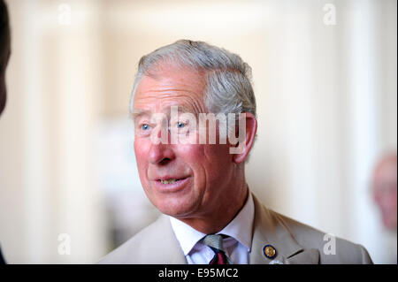 Un rilassato e sorridente il Principe Carlo durante un impegno pubblico nel Sussex Foto Stock