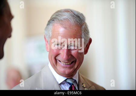 Un rilassato e sorridente il Principe Carlo durante un impegno pubblico nel Sussex Foto Stock