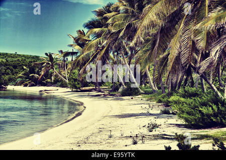 Retrò bella spiaggia tropicale con palme Foto Stock