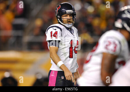 Pittsburgh, Stati Uniti d'America. Xx oct, 2014. Ryan Fitzpatrick #14 durante il Pittsburgh Steelers vs Houston Texans gioco in Pittsburgh, PA. Credito: Cal Sport Media/Alamy Live News Foto Stock
