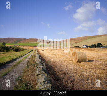 Azienda Agricola via e le balle di paglia in frontiera scozzese campagna Foto Stock