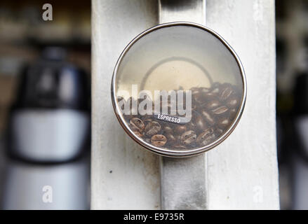 Campione di Kona Coffee beans. Foto Stock