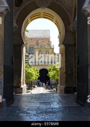 La Cattedrale Mezquita di Cordova Foto Stock