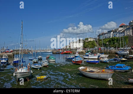 Brixham Harbour Porto Devon England Regno Unito Regno Unito Foto Stock