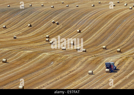 La stoppia e balle dopo il raccolto nella Chiltern Hills Buckinghamshire Agosto Foto Stock